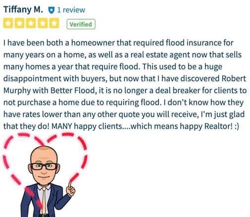 Flood nerd review from a real estate agent